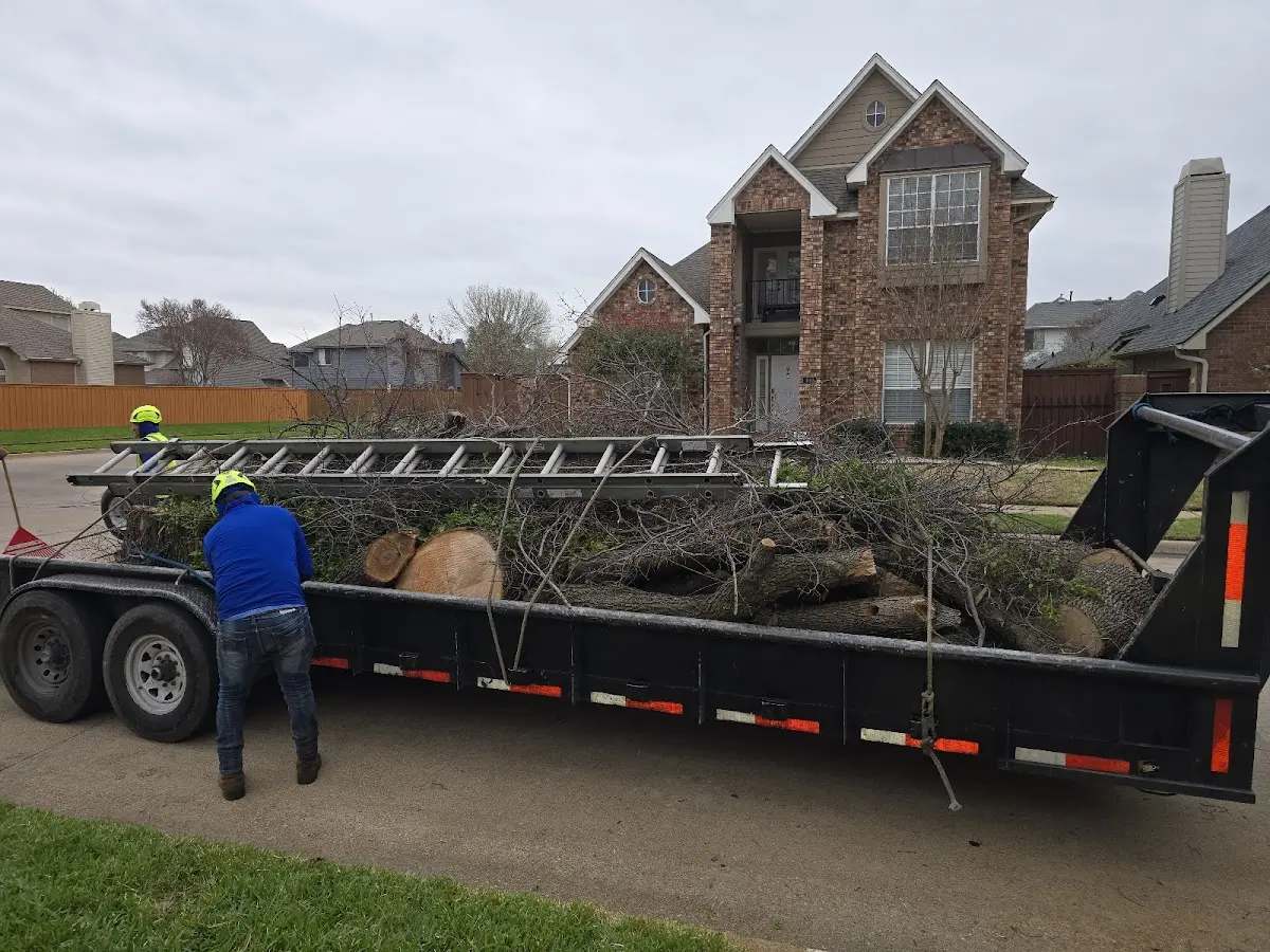 Expert Lot Clearing with proper safety equipment in Charlotte